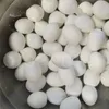 Küçük Elektrikli Mutfak Sert Haşlanmış Bıldırcın Yumurta Peeling Soyucu Makinesi