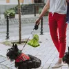 Honden huisdier reiskleedbare poep schep schepbosbare tassen kak schep schurk schoon pick -up excreta reiniger buitenshuis