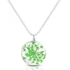 Collier de fleurs séchées pour femmes cadeaux mode boule de verre clair breloques pendentif rond colliers lien chaîne bijoux mignons