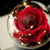 Rosa LED Cúpula de cristal Rosa para siempre Rosa roja Día de San Valentín Día de la madre Regalo romántico especial