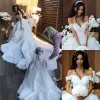 Tasarımcı Gelinlik Gelin Elbise 3D Floral Dantel Aplike Omuzdan Tül Tül Boncuklu Şapel Tren Vestido De Novia 403