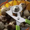 Andra verktyg Kök, Matsal Bar Hem GardenPigeeon Quail Egg Sax Rostfritt Stål Fågelägg Cutter Opener Slicer Kitchen Housewife Tool