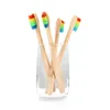 8 colors natural pure bamboo toothbrush portable soft environmental protection brush oral cleaning care tool wholesale wooden rainbow color