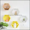 Hooks Storage HouseKee Organisatie Home Gardenhooks Rails Wall Shelf Hexagonal Box Partition Living Room Hangende diamant creatief rooster