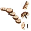 Autres fournitures d'oiseaux Petit terrain de jeu pour animaux de compagnie Escalade Plate-forme d'échelle en bois pour hamster Chinchilla