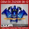 OEM-lichaam voor Kawasaki Ninja EX250 ZX250 R EX ZX 250R ZX-250R 2008-2012 81NO.10 EX-250 ZX250R 2008 2009 2010 2011 2012 EX250R 08 09 10 11 12 Injectie Keuken Zwart Zilverachtig