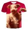 T-shirts voor heren 2022 FUN EN NIEUWE DIEREN PIG Orangutan Series T-shirt 3D Printing Men Women Harajuku Style Childs