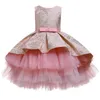 Fille bébé Princbirthday Party Dance Dentelle Dentelle Drgirl Christmas Communion Party Dance Afficher la robe de broderie x0803