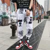 Otoño Hip Hop Pantalón Hombres Primavera Loose Fit Joggers Imprimir Streetwear Teen Harem Pantalón Ropa Pantalones de moda X0723