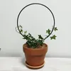 Andere Tuinbenodigdheden Plant Ondersteuning Trellis Klimmen Stake Circle Ronde Shape Stand Frame Vine Rack voor Mini Indoor Planten Bloemen Groente