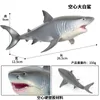 Nowy produkt Marine Life-Like-Like Hollow Hard Plastic Shark Toy Great White Shark przedstawia modele zabawki dla chłopców i dziewcząt prezenty urodzinowe