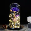 Valentine's Day Gift Beauty and Beast Flower Rose In Glass Dome Led Lamp Decoration for Girlfriend2703