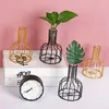 Vazen ijzeren lijn vaas hydrocultuur planten bloem metalen houder Nordic Styles Tabletop Home Decoration accessoires Modern