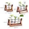 Wituse Plant Pot Flower Pans Pans عتيقة الخشب الوقوف واضحة مصغرة مزهرية الزجاج الزجاجي للمنزل ديكور الزفاف 210712239W