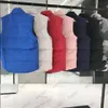 Gilet da uomo alla moda Gilet in cotone Gilet Gilet da uomo e da donna senza maniche Piumino autunno inverno Cappotti casual Gilet per coppie Mantieni caldo il cappotto