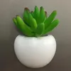 シミュレーションの多肉植物の花盆栽多肉植物の植木鉢冷蔵庫の磁石ホームデスクトップの装飾プラスチック製の植木鉢RRA10900