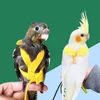 Другая птица поставляет жгут домашних попугаев и поводки, регулируемый тренировочный дизайн анти-убитый нейлоновый веревку с крылом александриновой алой кек