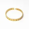 Couleur en or rose (6 pièces / lot) Titanium Steel Roman Numerals bracelet Bracelet jaune Tone jaune Zircon Bijoux en gros de 6 mm Bangle pour femmes