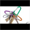 Hooks rails opslag huishoudelijke organisatie huizen tuin drop levering 2021 karabiner ring sleutels sleutelhangers key chains outdoor sport camp snap cl