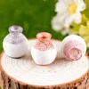 Garden Supplies Mini Vase Succulents Decoration Craft Ornaments Small Mouth Resin RH3606