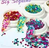 fashional purple blue 12 colors Professional DIY Nail Art Tips Stickers Acrylic 3D Round Glitter Sequins Manicure Decoration