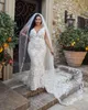 Eleganti abiti da sposa a sirena Abiti da sposa con scollo a V profondo e senza schienale Plus Size Sweep Train in pizzo robe de mari￩e