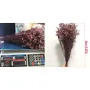 Natürliche, frisch getrocknete, konservierte Kristallgras-Rosenblume, ewige Vergissmeinnicht-Blumen, echter Delphinium-Blumenstrauß für die Inneneinrichtung 210624