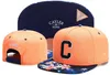 Nuovi cappelli Snapback Cap Cayler Sons Snap Back Baseball Calcio Basket Cappellini personalizzati Misura regolabile Drop Shipping Scegli dall'album 3344