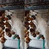 Andra fågelartiklar Pet Cage hängande leksak cockatoos konstigt roligt klättring nät med nötter för papegoja 2021