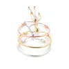 Zilvergeplateerde charmes armbanden 3 mm ketting verstelbare pasvorm Pandora Gold Rose Bangle armband Vrouwen vrouwelijk kerstfeest verjaardagscadeau br020