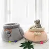 cama de gato de calabaza