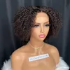 Partihandel Svart Fluffy Afro Rå Virgin Human Hair Indian Chinese Kinky Curly 4B Vågig 4x4 Lace Closure Wig 8 tum för kvinnor