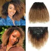 Clip mongol dans les extensions de cheveux humains Afro Kinky Curly T1B / 4/27 120g / set 8pcs Ombre Color Clip in