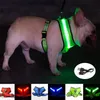 led反射犬の襟