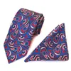 Tie Set Gravata Mens Slipsar För Män Gravatas 2020 Slips Neck Tie Pocket Square Bröllop Handkerchief Tillbehör