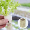 24/50 Pcs Rockwool Sheet Block Propagation Cloning Seed Raising Soilless Cultivation Hydroponic Grow Cubes Rock Wool Cubes 210615