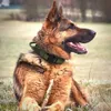 Coleira de cães táticos com alça Durável Militar Nylon Cachorrinho Coleira Ajustável de Treinamento para Cães Grandes Pastor 210729