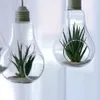 Clear Light Bulb Shape Glass Hanging Vase Bottle Terrarium Hydroponic Container DIY Garden Decor 210409