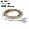 Remsor Super Bright SMD Dimble AC220V LED -strip Light 1m/5m/10m/15m/20m/25m/50m/100 m kök utomhus trädgårdslampa Tapeled Stripsled