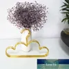 5 st Cloud-Shaped Barnhängare Söt Metal Racks Display Hängare Vindskyddad Barnrockar Hanger Baby Kläder Arrangör Fabrikspris Expert Design Kvalitet