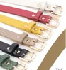 Cinturones Cinturón de mujer Imitación de cuero Aleación Pin Hebilla Patrón de piedra Moda Lagarto Jeans decorativos