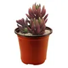 90x60x80mm Plastic Ronde Bloem Pot Nursery Home Decorating Garden Pots Potten Plant Planter Suppli