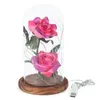 Cadeau de fête pour la saint-valentin, la fête des mères, pour petite amie, Rose éternelle, lumière LED dans un couvercle en verre, cadeaux de mariage, cadeaux de demoiselle d'honneur