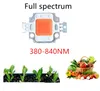 Lekkie koraliki 3W 10W 20W 30W 50W 100W LED Pełne spektrum 380 nm-840 nm dla wzrostu roślin wewnętrznych