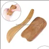 Nettoyeurs de bijoux polonais Gua 2 pièces bois de santal Sha planche Mas grattoir Guasha plaques minceur outil de soin du corps pour bras arrière 4 hibou livraison directe 20