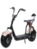 Bekväma vuxna City Electric Scooter Wide Dire 1500W High Power Cykling Motorcykel