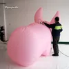 公園の装飾のためのコンサートステージ装飾的な動物マスコットモデル2.5mの高さの膨脹可能なピンクの豚の球