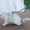 Kedi yakaları, köpek kırmızı koşum patlaması geçirmez deri dostu evcil hayvan malzemeleri Yürüyüş güvenlik yelek taslakları köpek açık hava anti-ısırma yolu