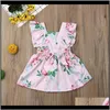 Kleider Kleidung Baby, Kinder Umstandsbaby Mädchen Blumenkleid mit Schmetterlingsärmeln Kleid Baby Süßes Sommerkleid Outfit Sonnenanzug Kleidungsset 0 bis 24 Monate D