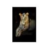 Unframed Modern Beast Poster Tiger Lion Cheetah Print Wall Art Painting